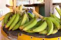 IMG_2378 bananas for sale